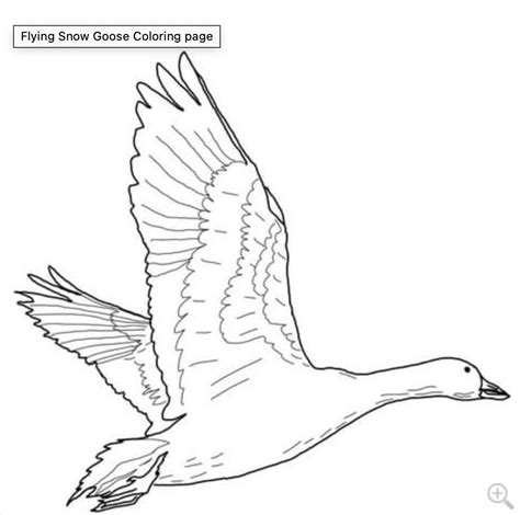 searchgoose|Iba pa.